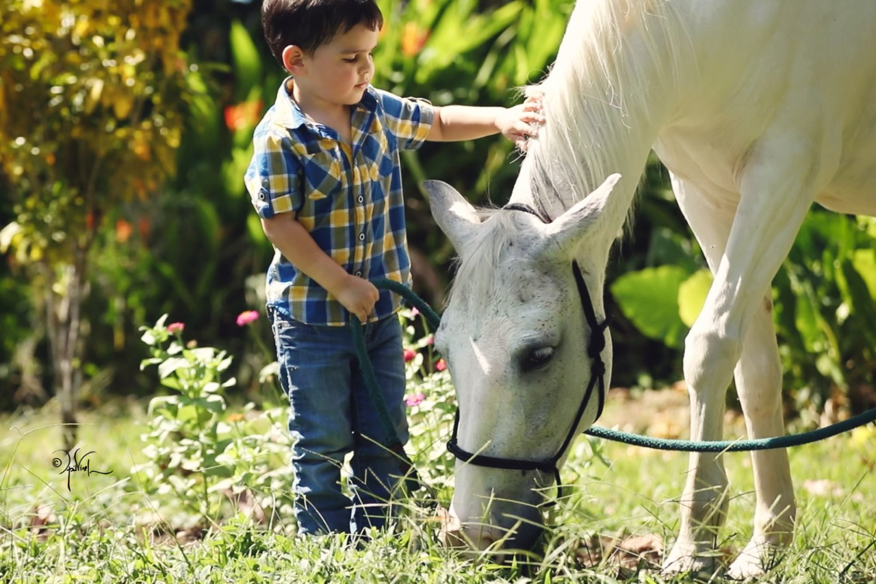 Painted Pony Guest Ranch - your perfect Horseback Riding ...